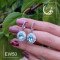 گوشواره نقره با سنگ توپاز آبی سوئیس کد Ew50